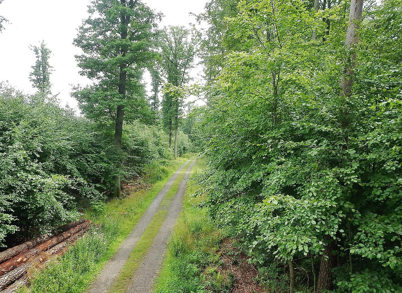 Photo of Lauchäcker