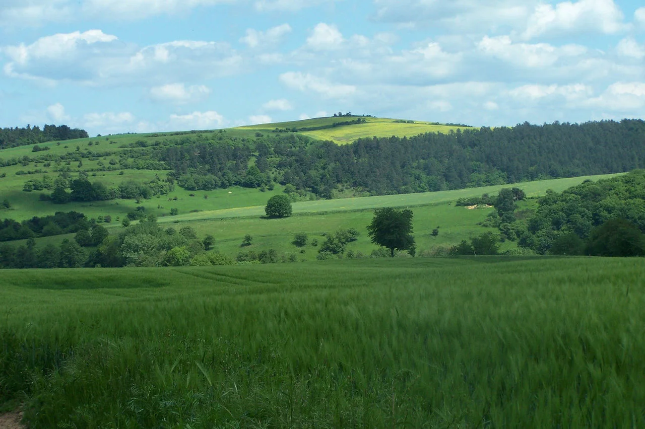 Photo of Lauchröden