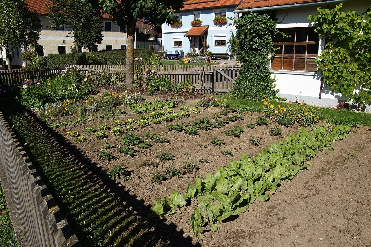 Photo of Lauterhofen