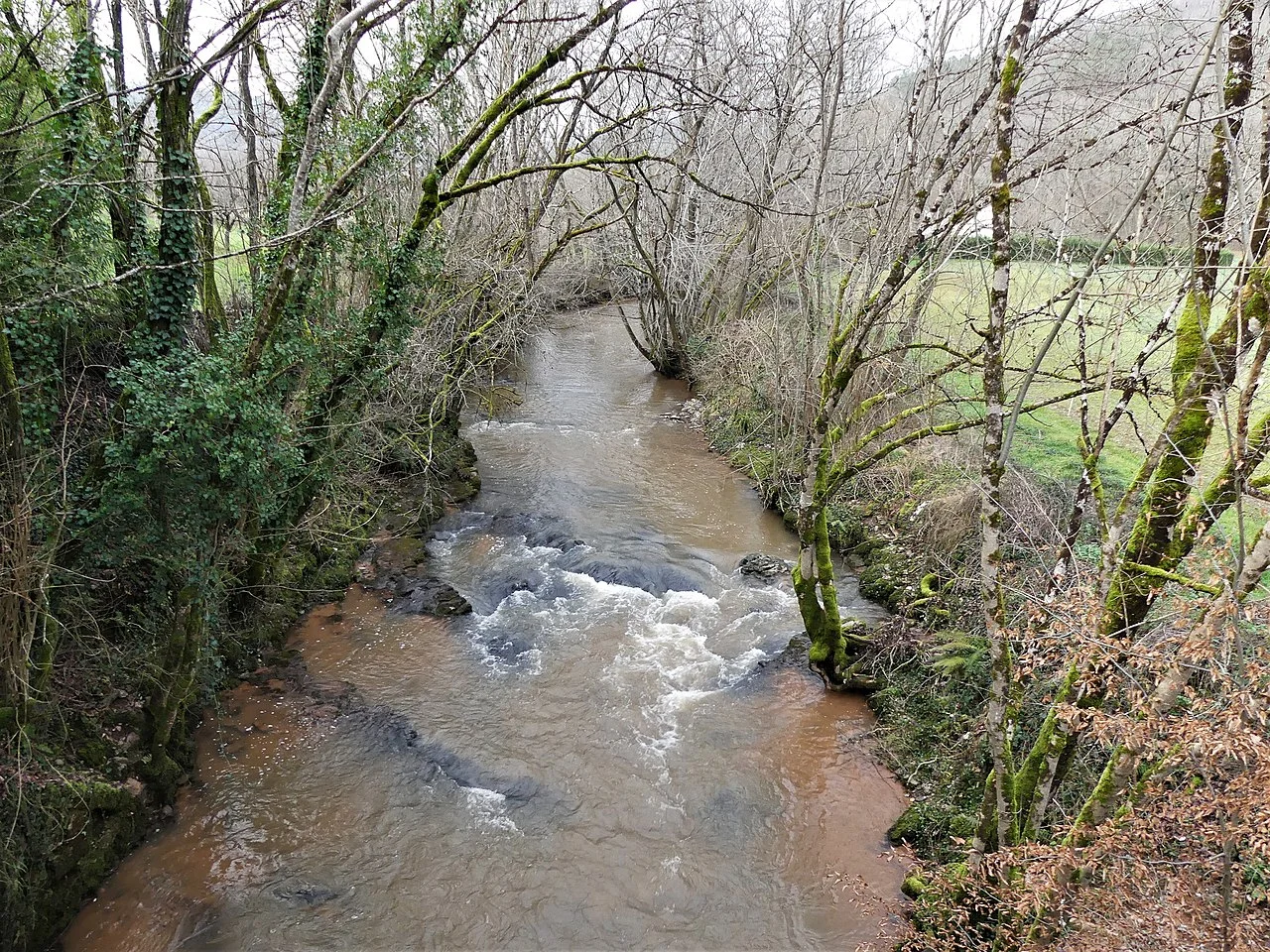 Photo of Lavilledieu