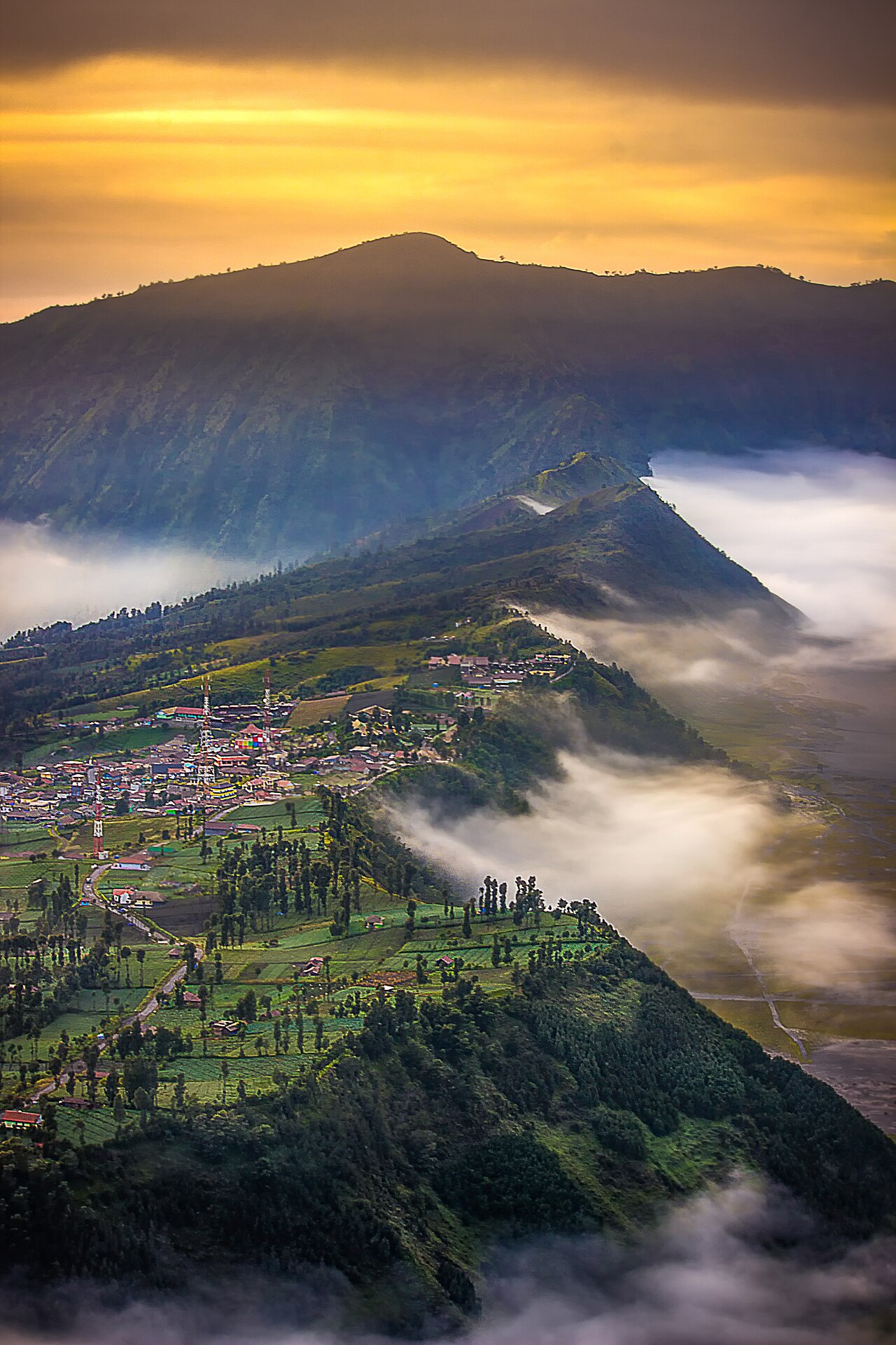 Beauty of morning mist at Cemoro Lawang, Probolinggo, East Java