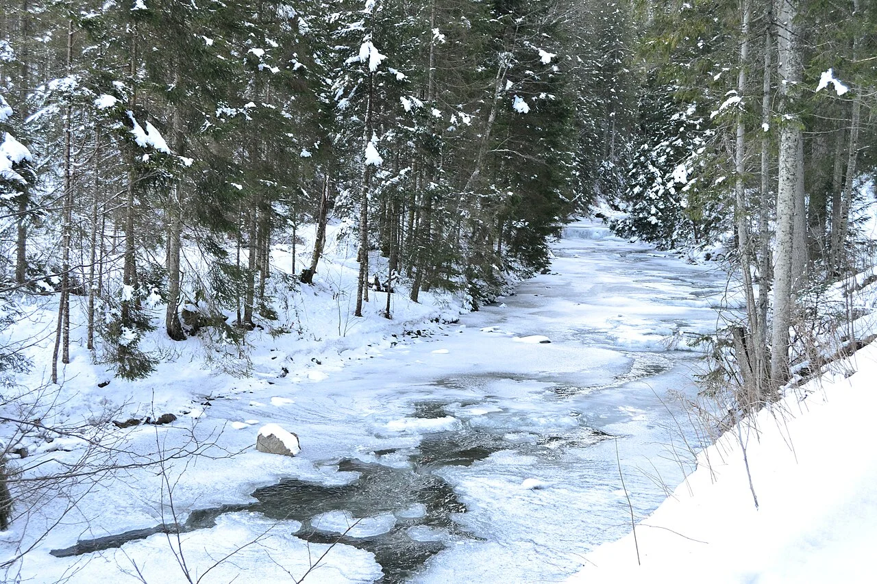 Photo of Lazeshchyna