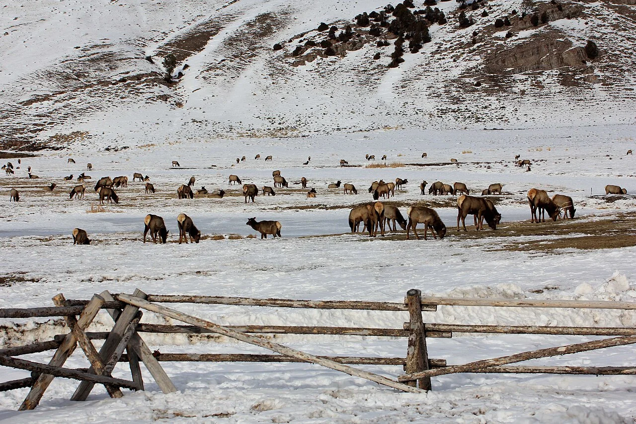 Photo of Lazy Mountain