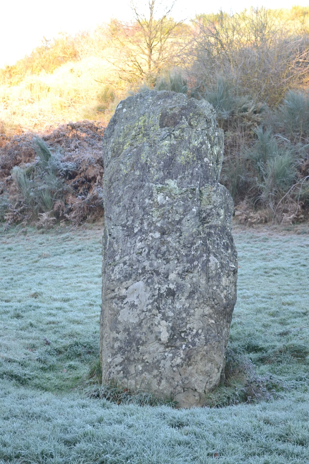 Photo of Le Fief-Sauvin