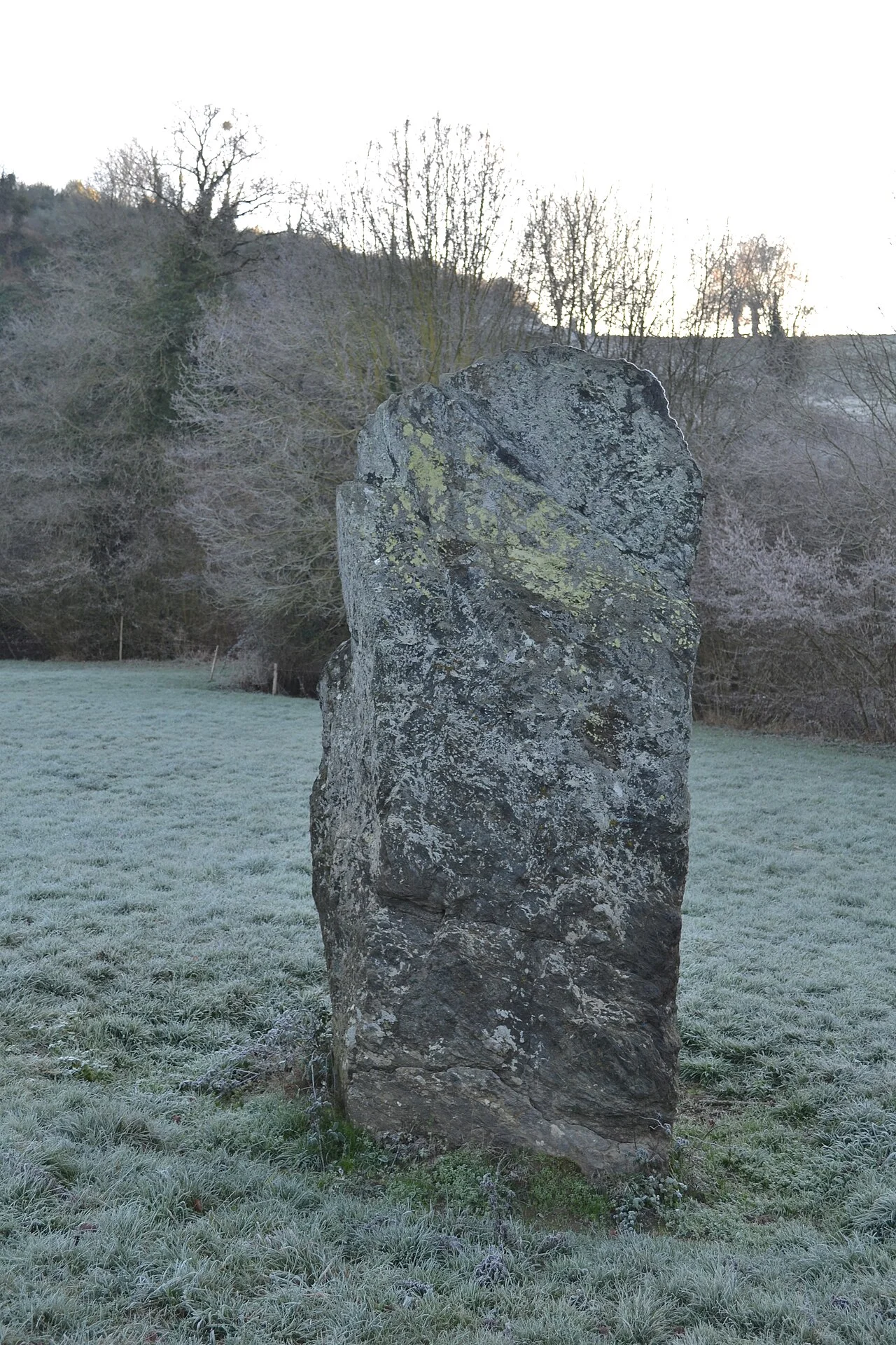 Photo of Le Fief-Sauvin