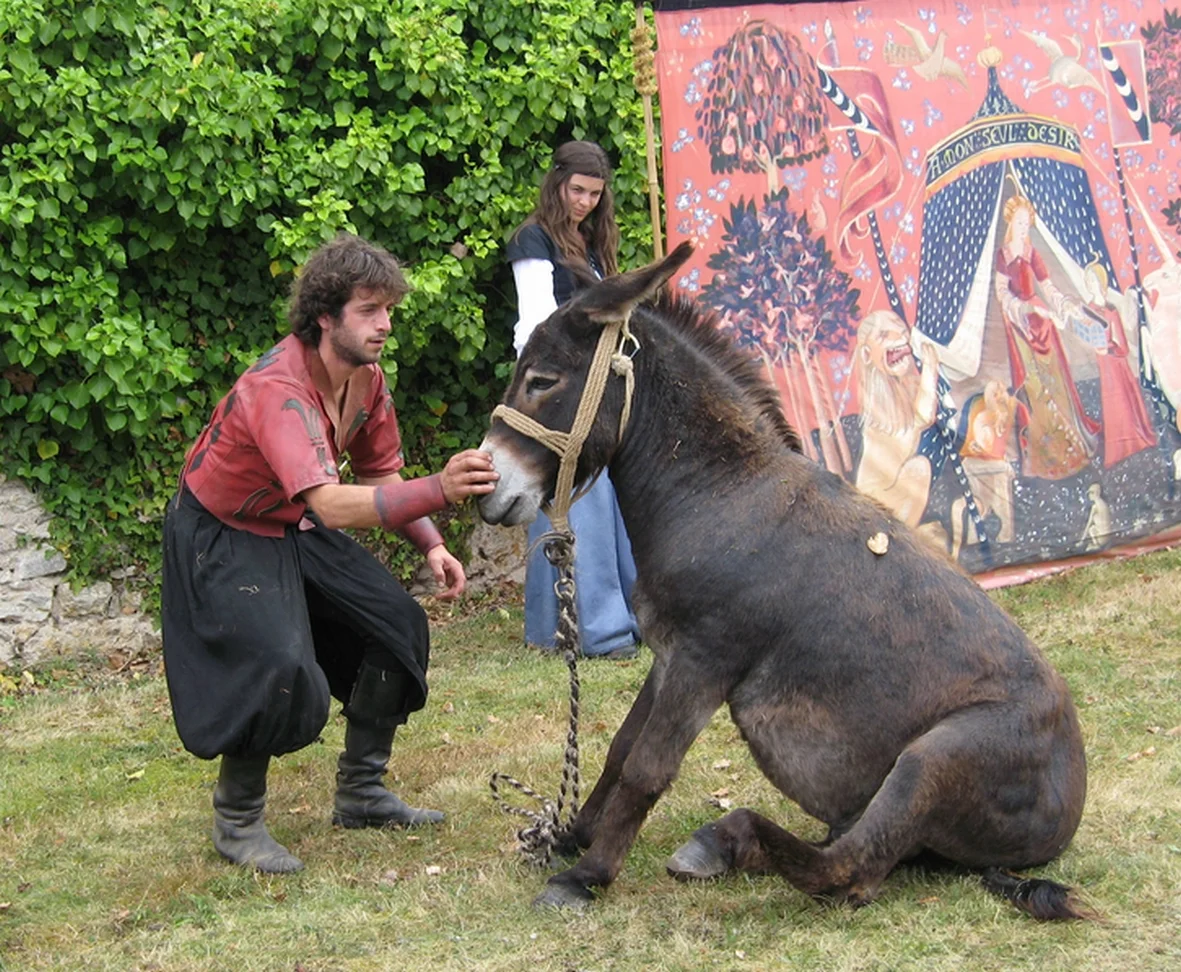 Photo of Le Pêchereau