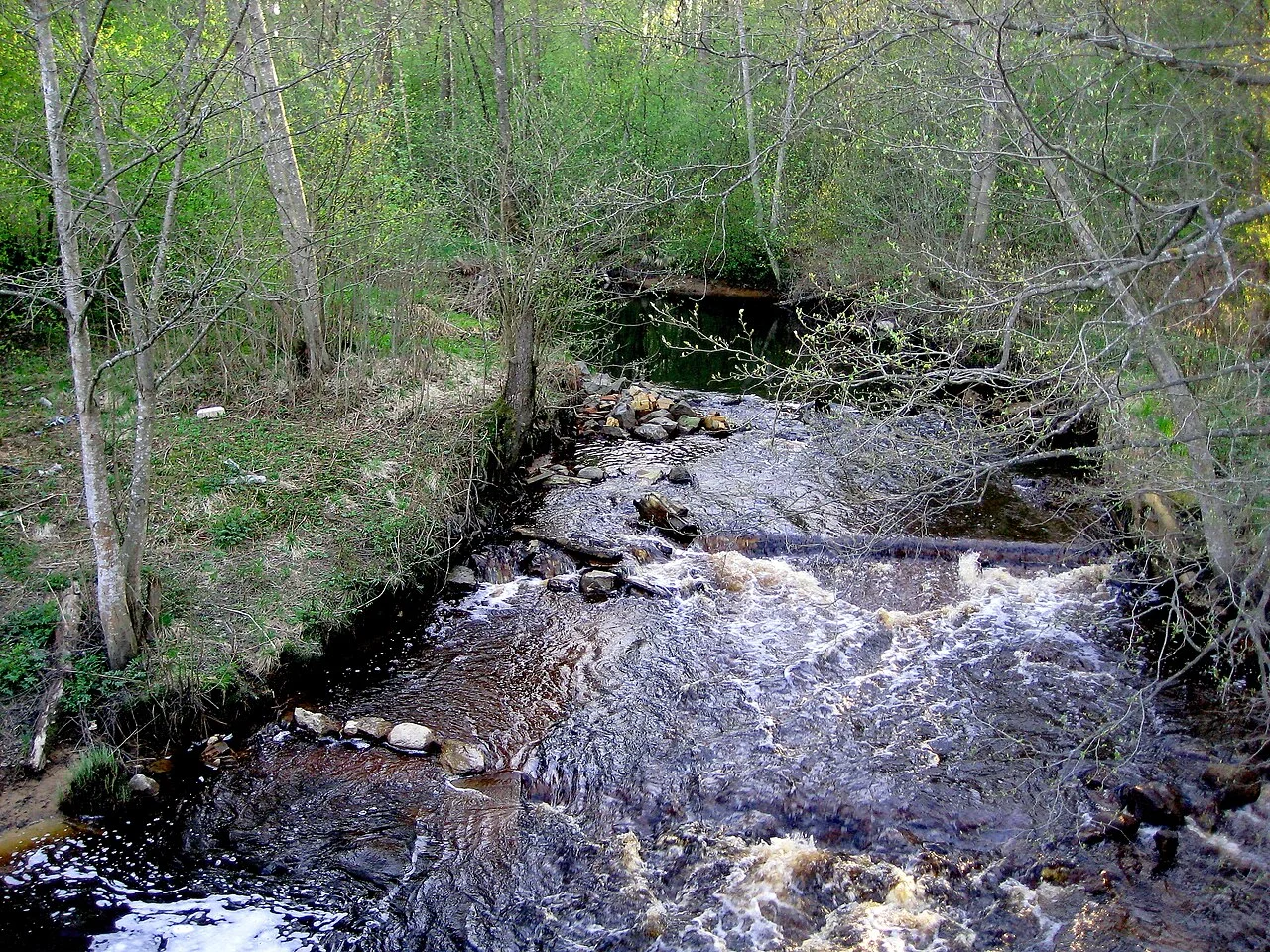 Photo of Lebyazh’ye