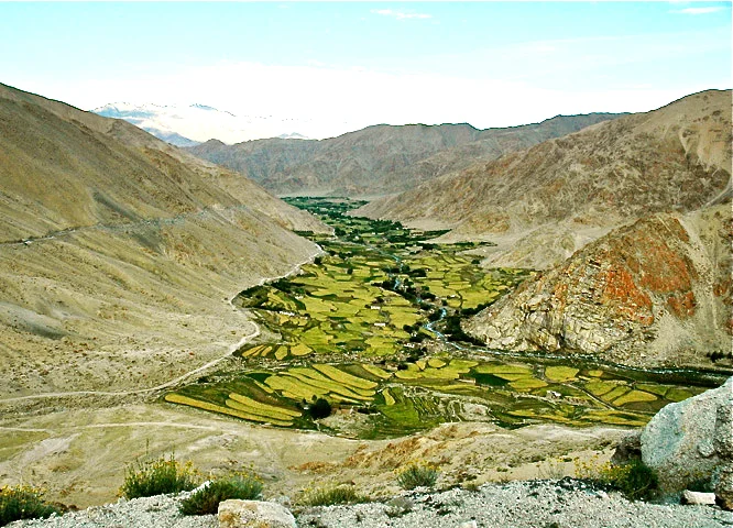 Photo of Leh