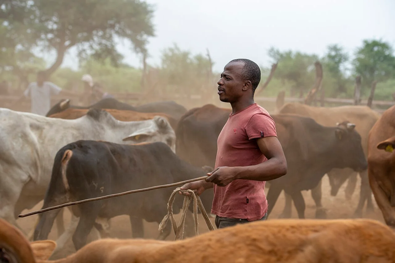 Photo of Lentsweletau