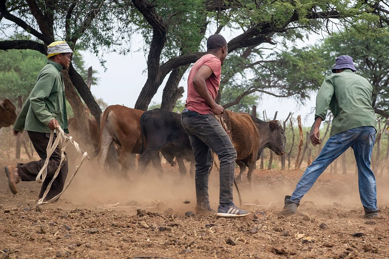 Photo of Lentsweletau