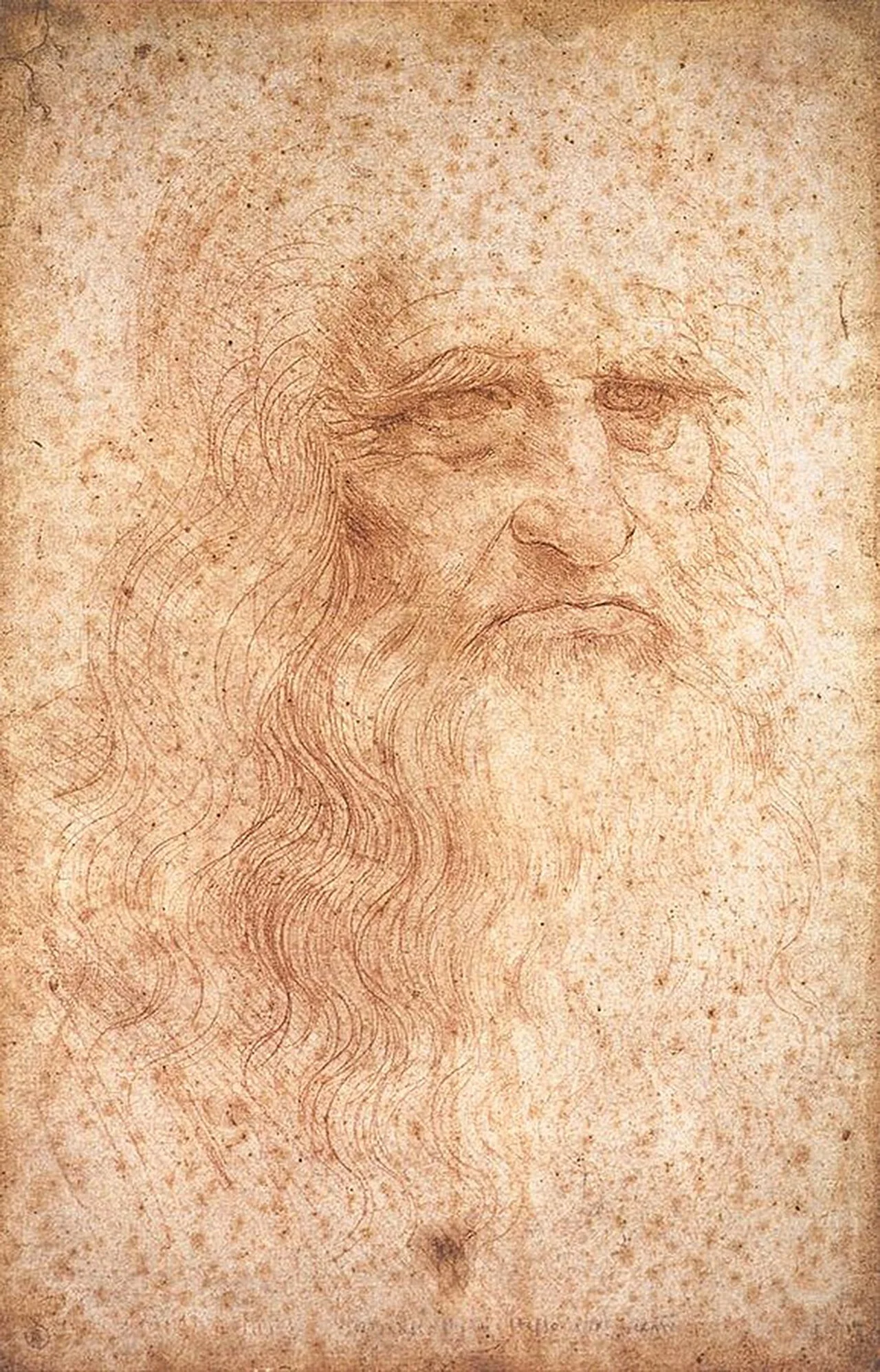 Photo of Leonardo