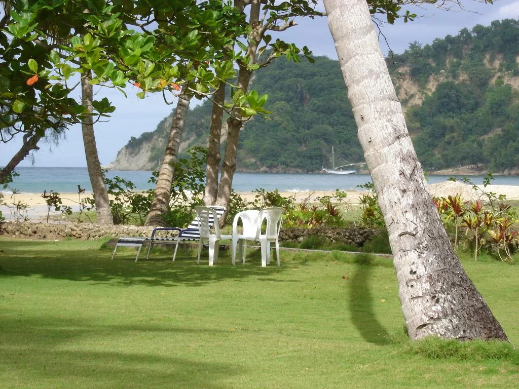 Photo of Les Abricots