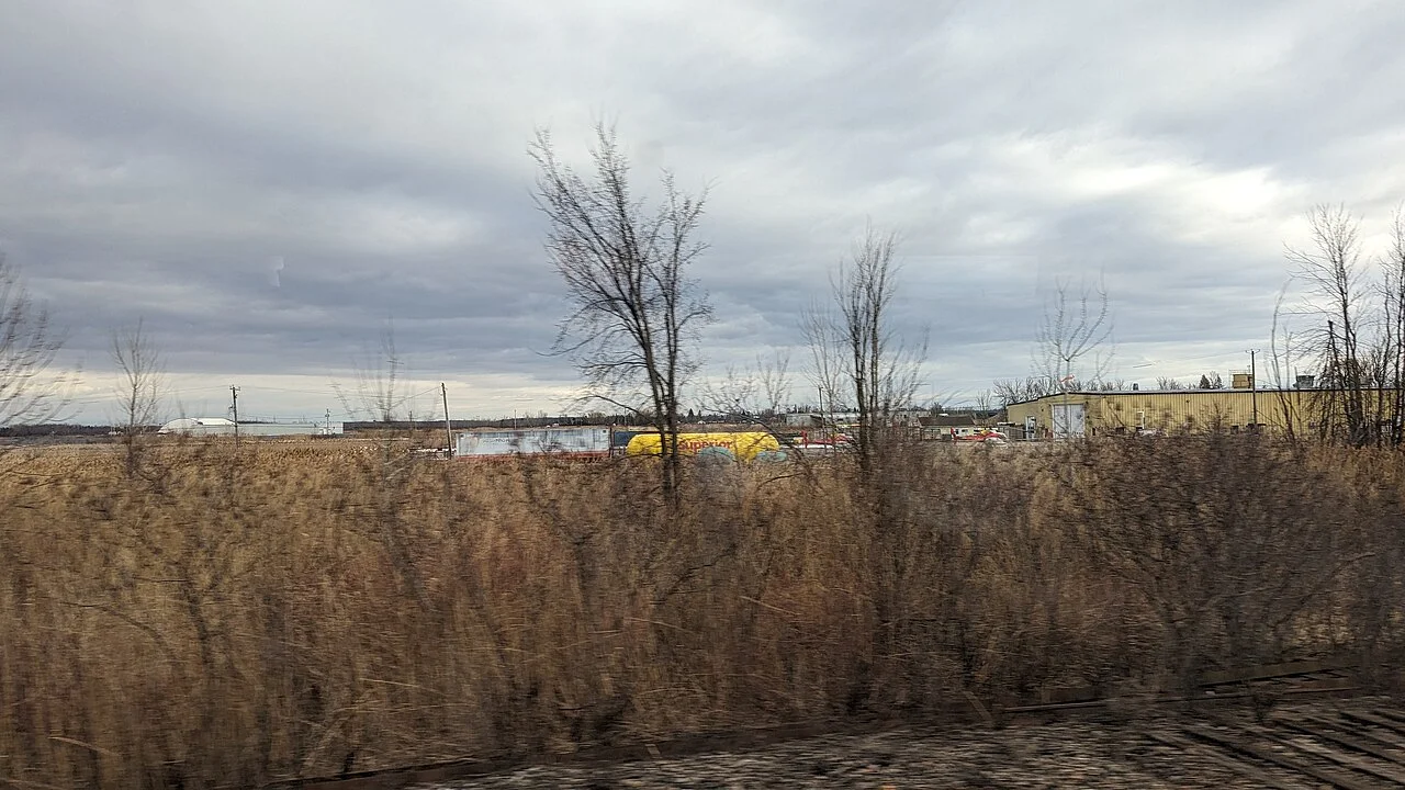 Photo of Les Cèdres