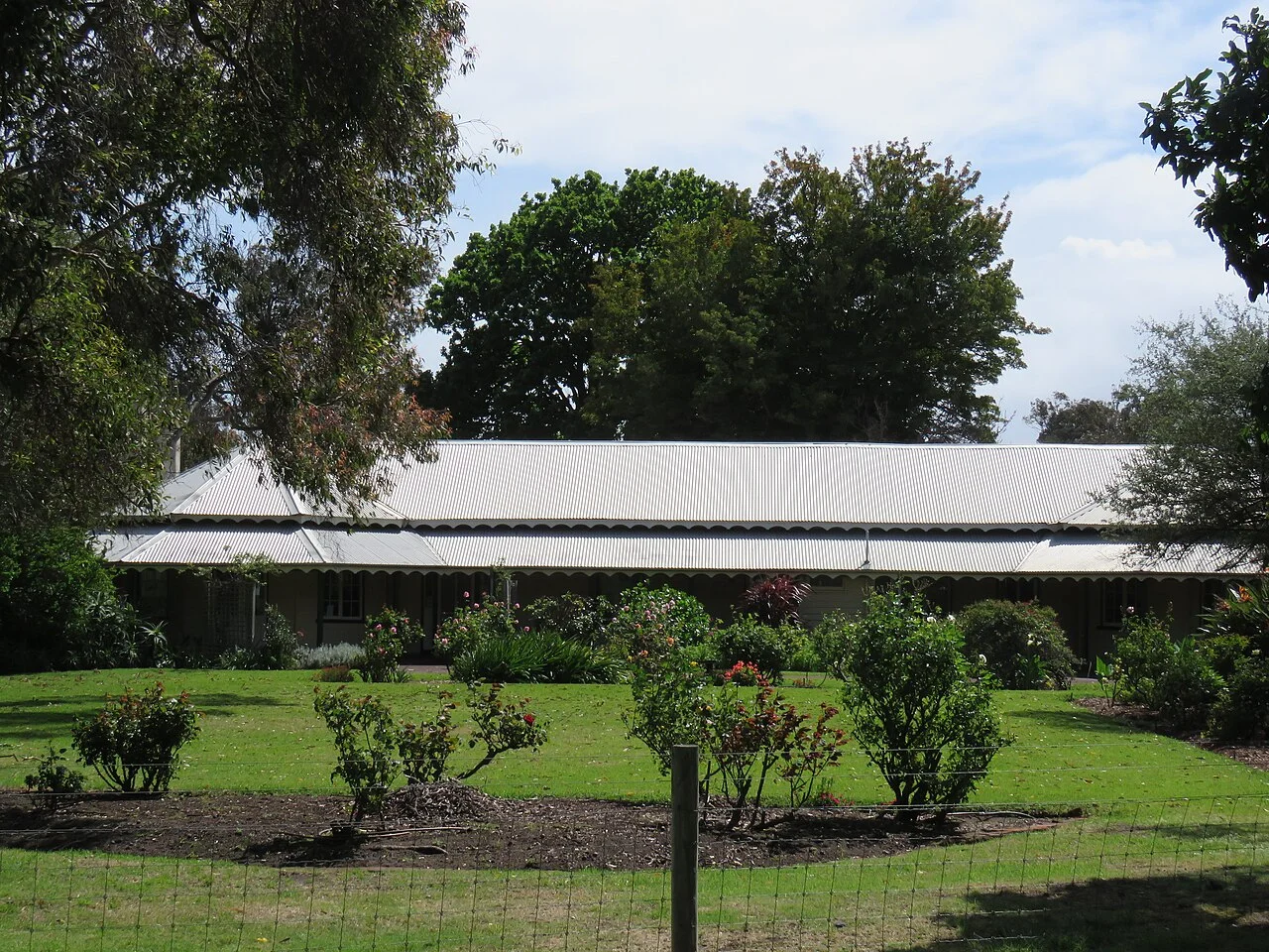 Photo of Leschenault