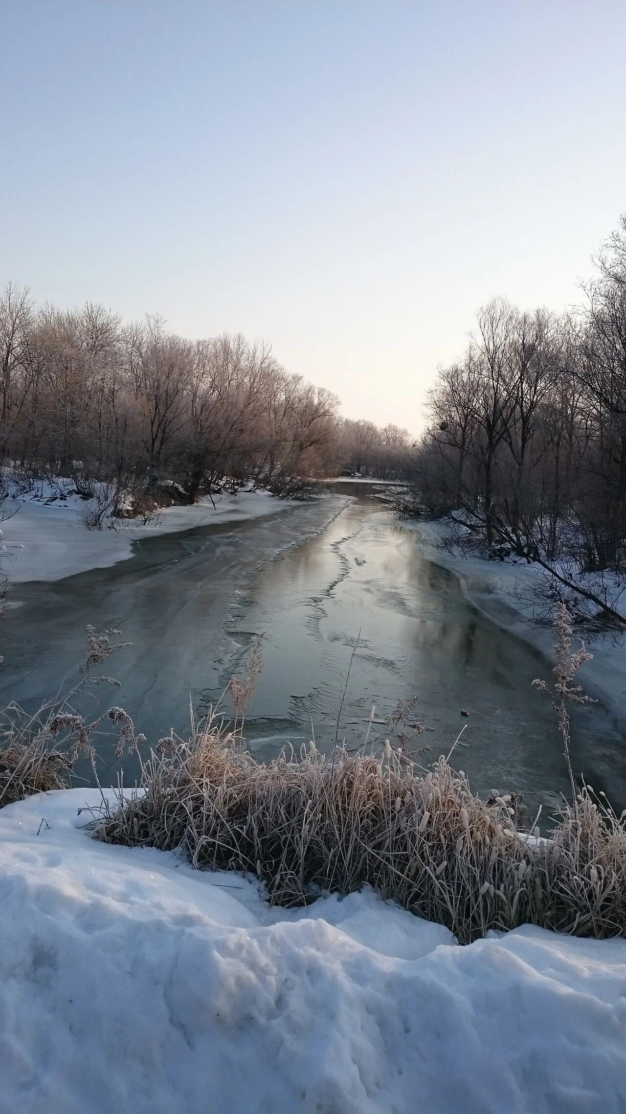 Photo of Lesozavodsk