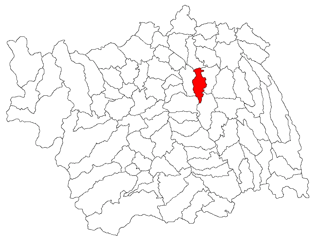 Photo of Letea Veche