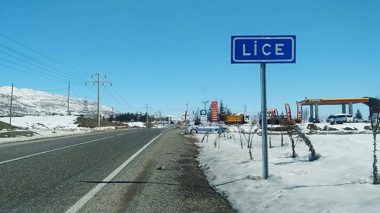 Photo of Lice