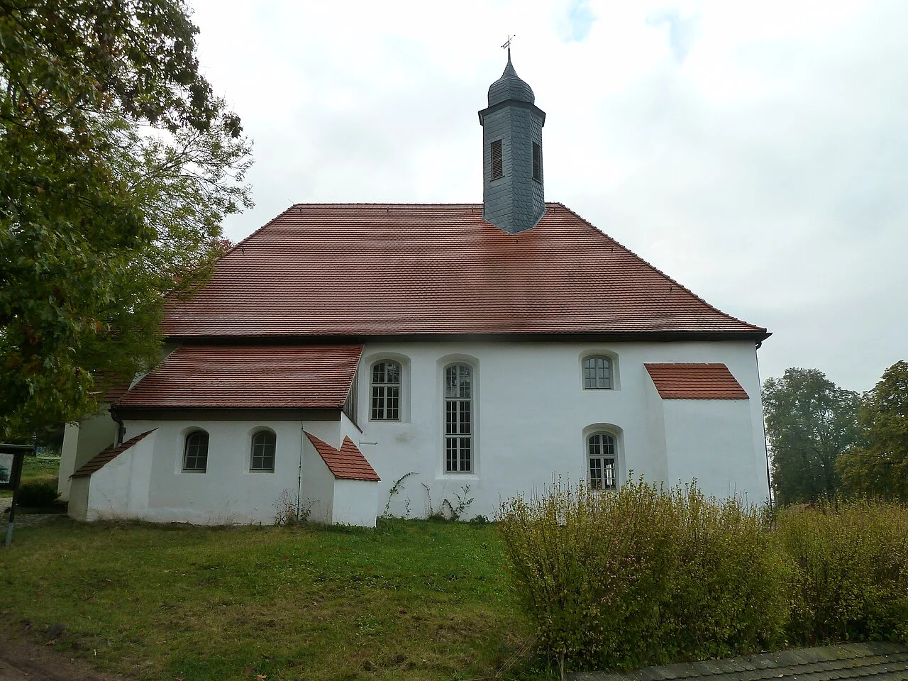 Photo of Lichtentanne