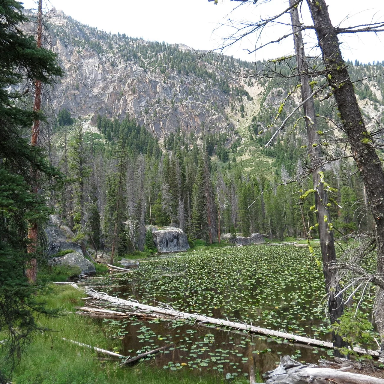 Photo of Lily Lake