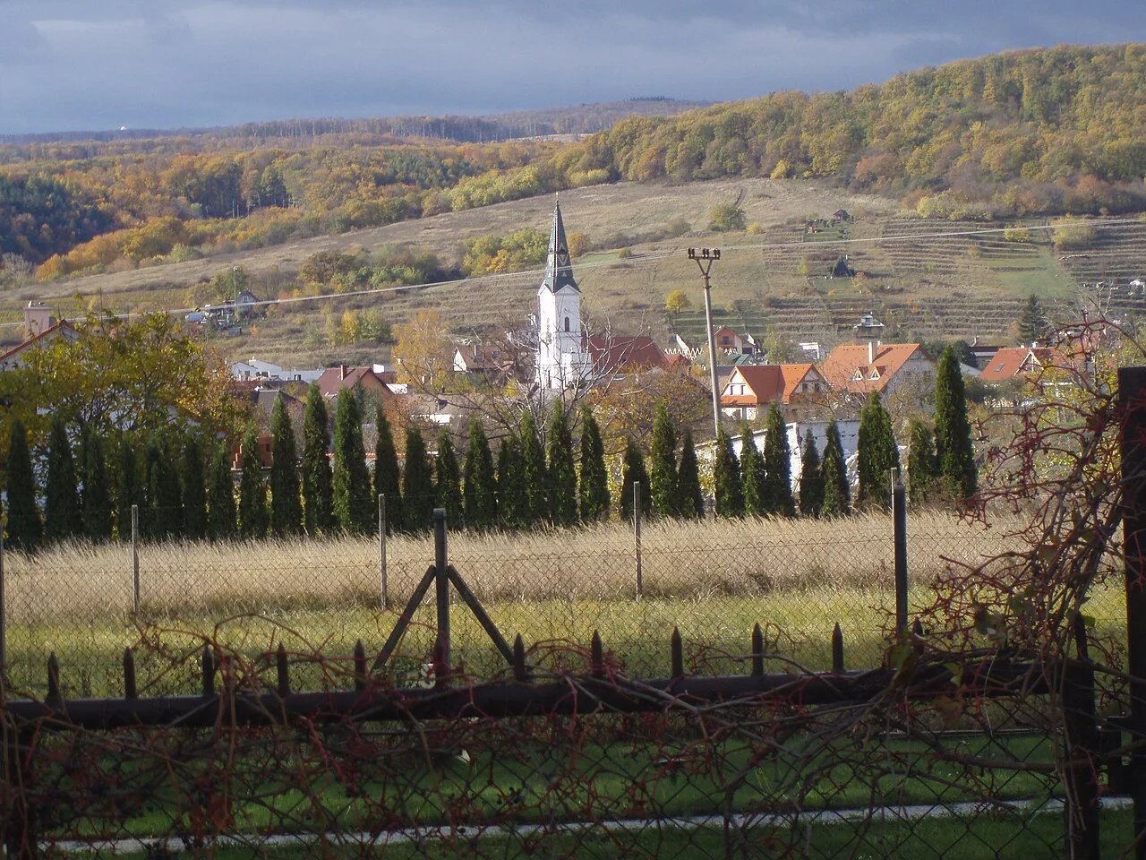 Photo of Limbach