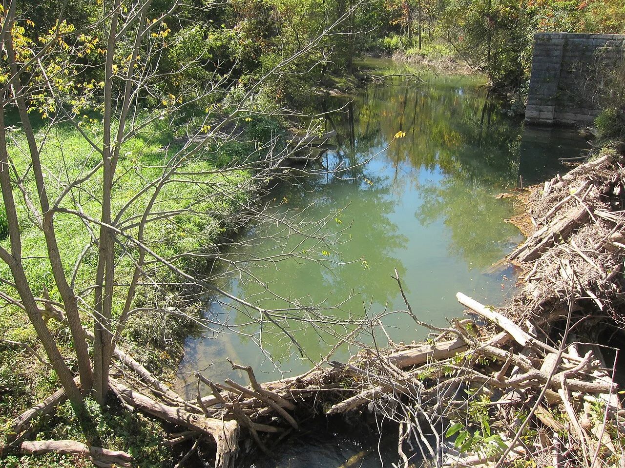 Photo of Limestone Creek