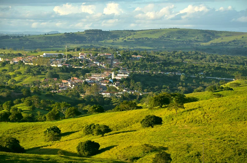 Photo of Limoeiro de Anadia