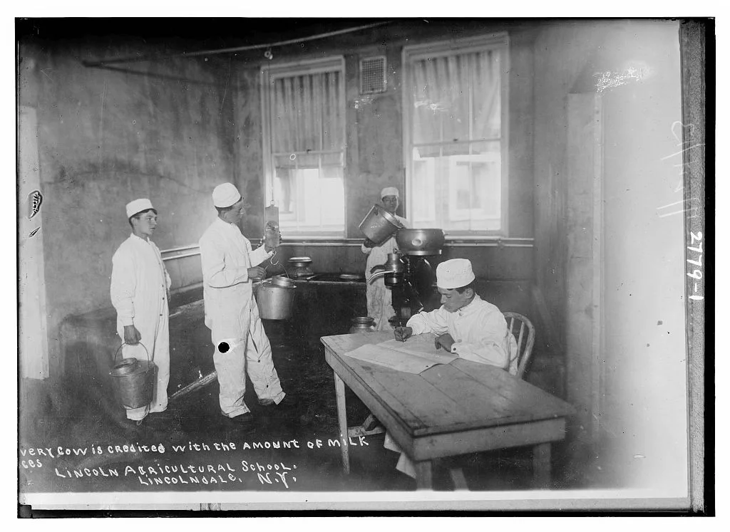 Photo of Lincolndale