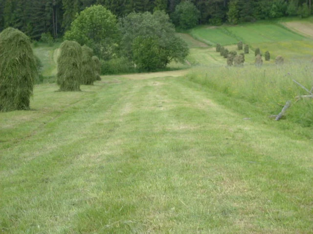 Photo of Lipnica Mała