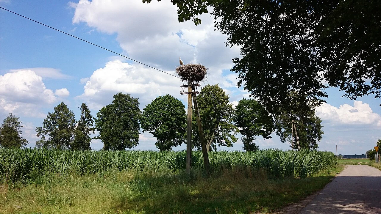 Photo of Lipowiec Kościelny