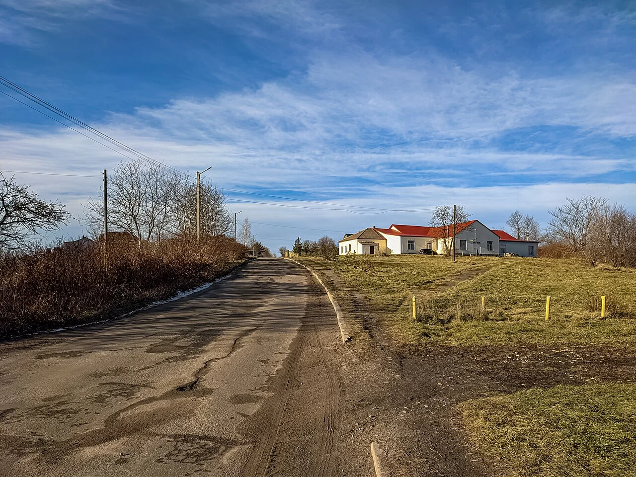 Photo of Lisovi Hrynivtsi