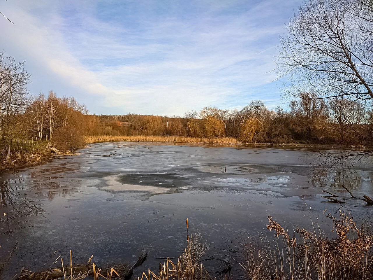 Photo of Lisovi Hrynivtsi