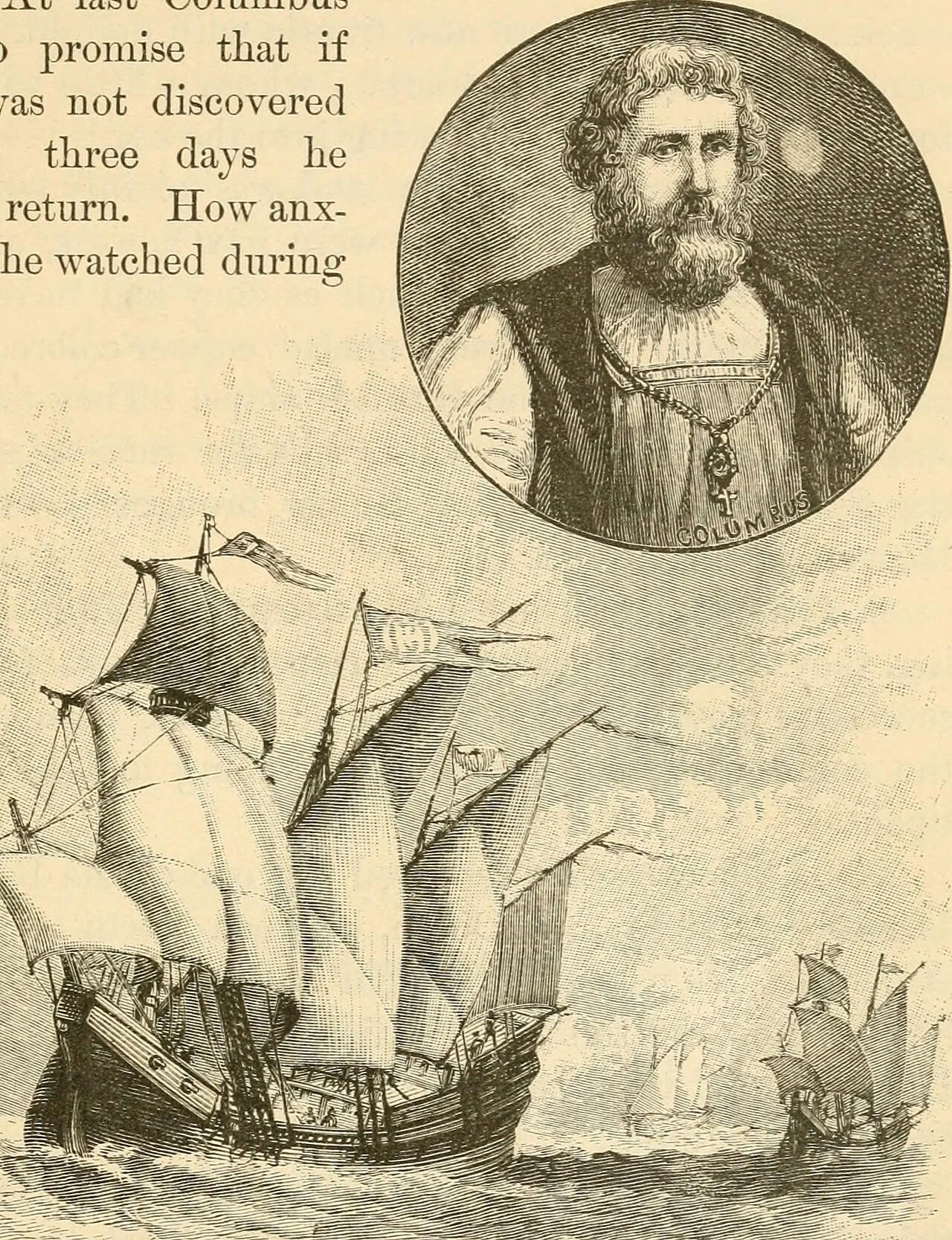 Photo of Little Flock