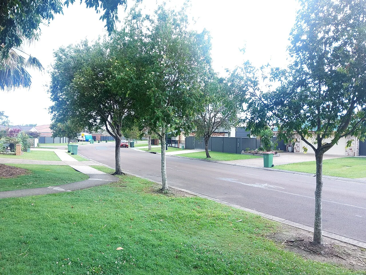 Photo of Little Mountain