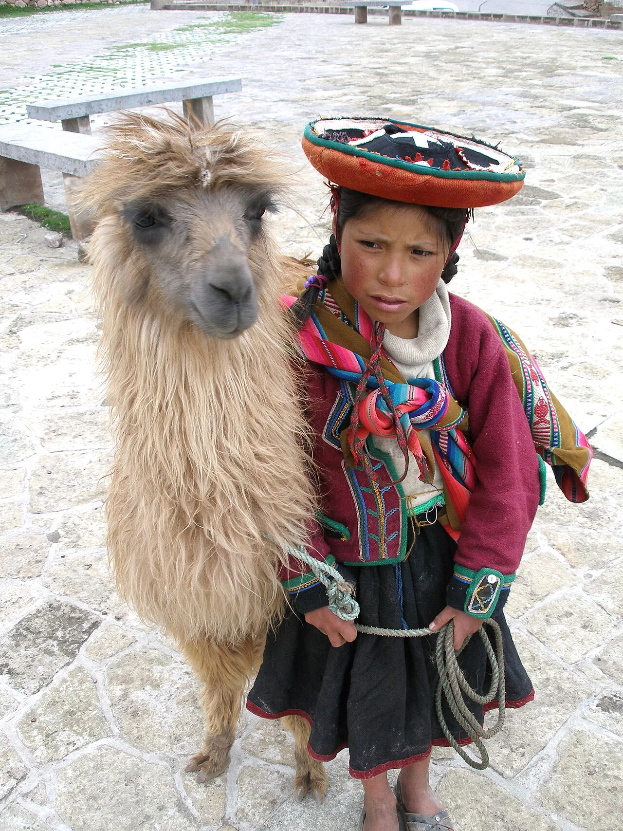 Photo of Llama
