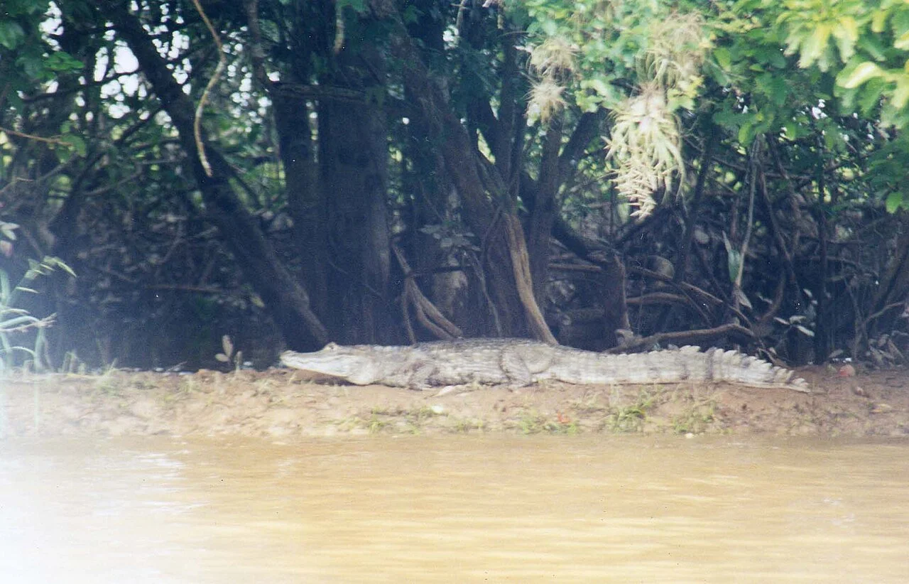 Photo of Llano del Tigre