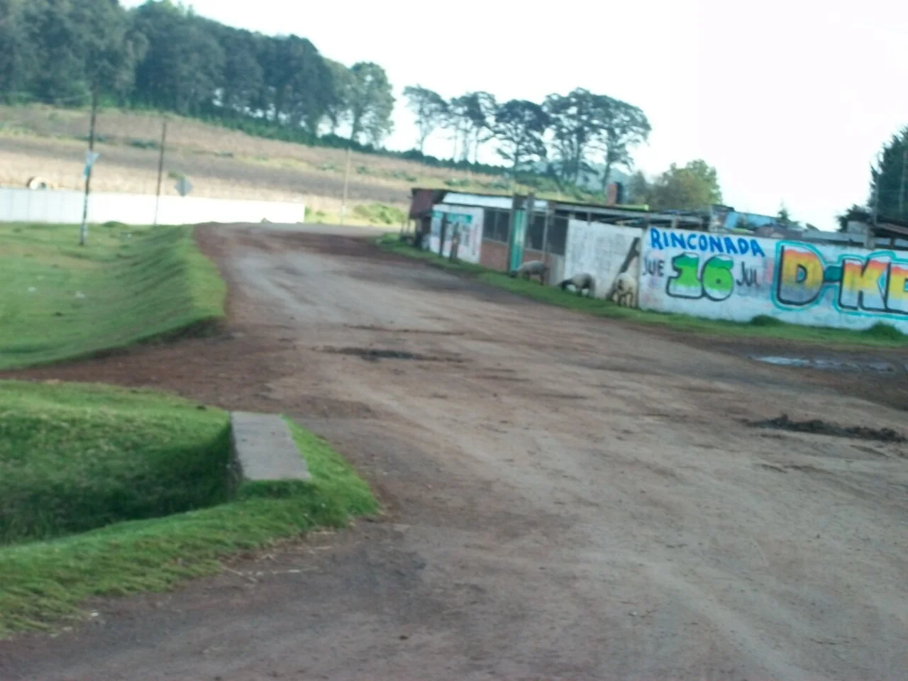 Photo of Llano Grande