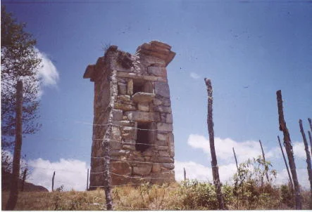 Photo of Llipa