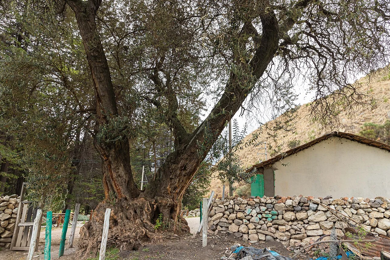 Photo of Llocllapampa