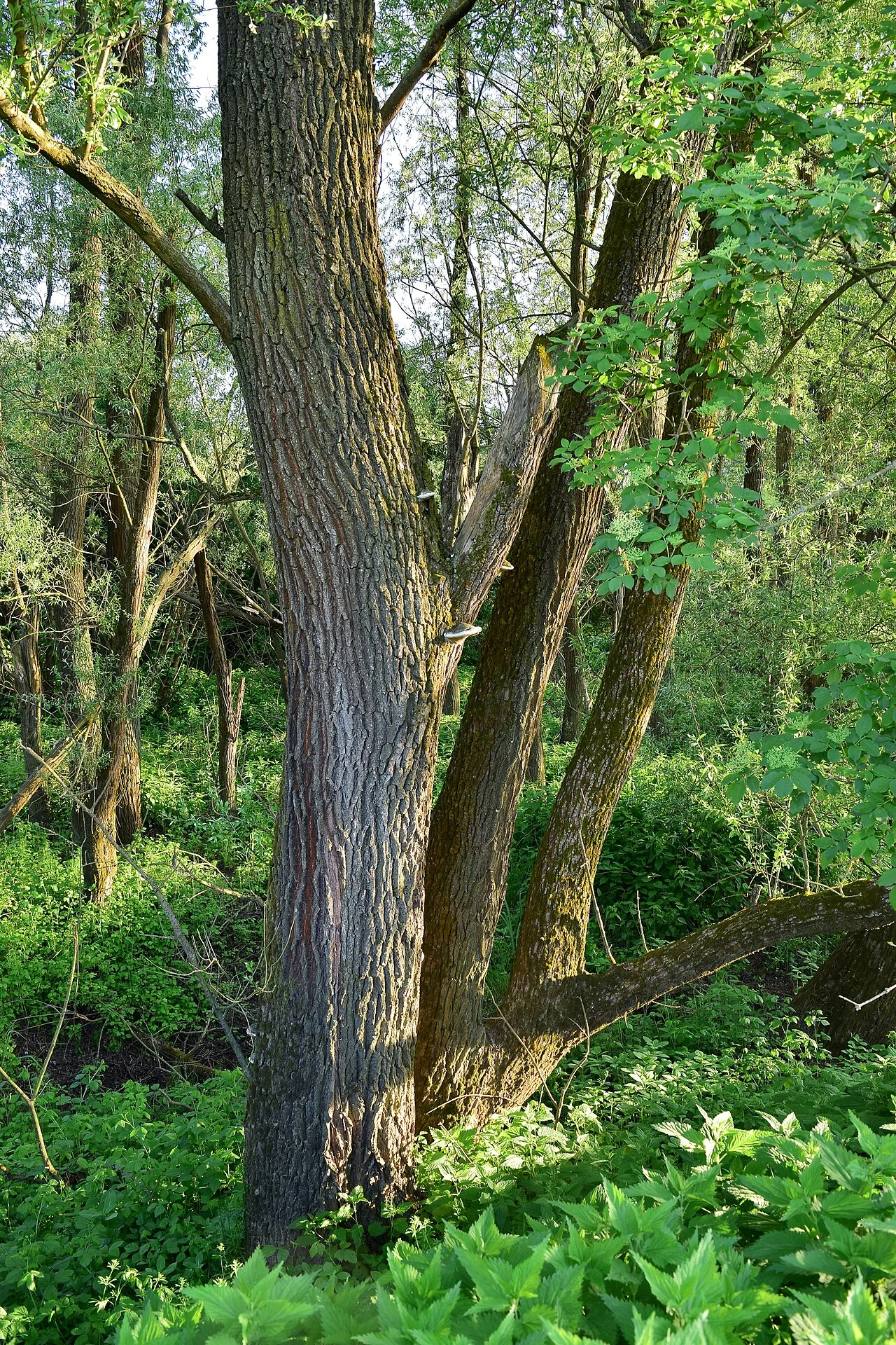Photo of Lödersdorf