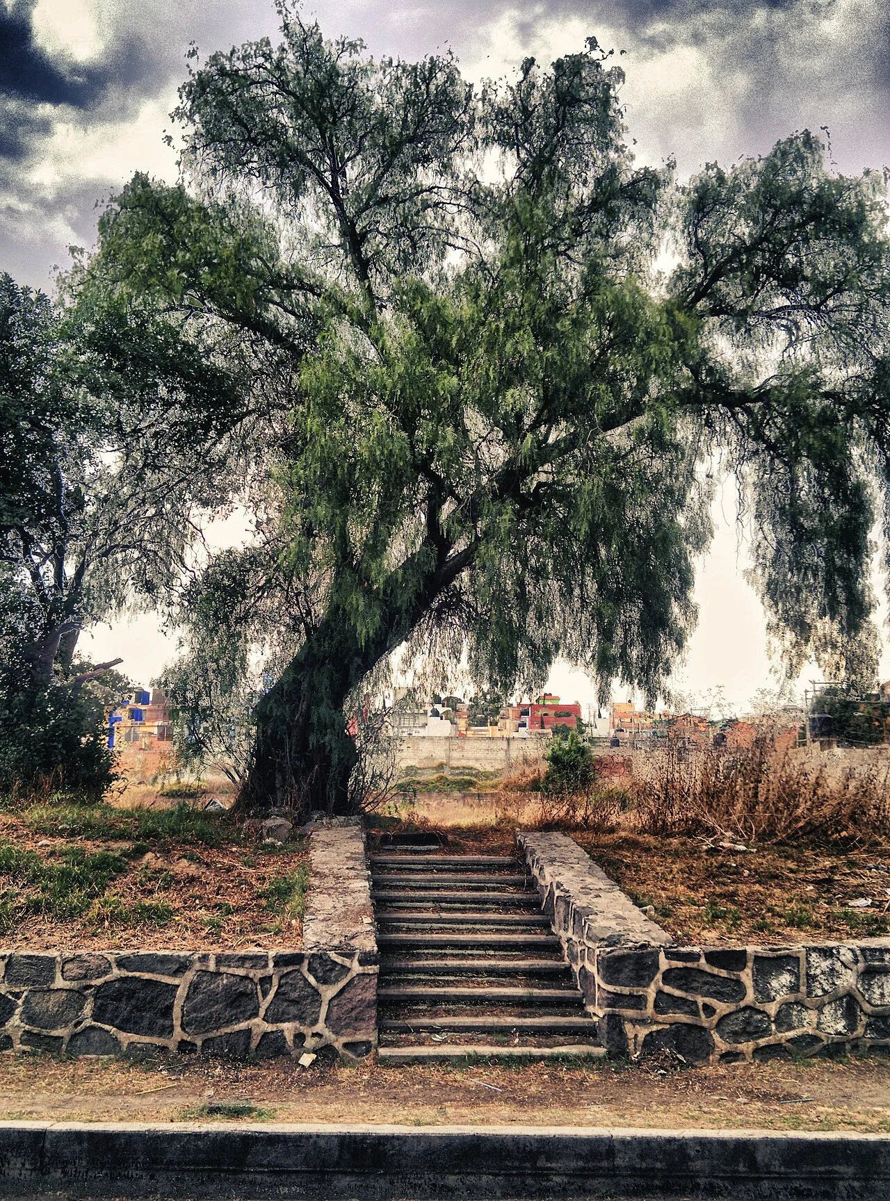 Photo of Loma Grande