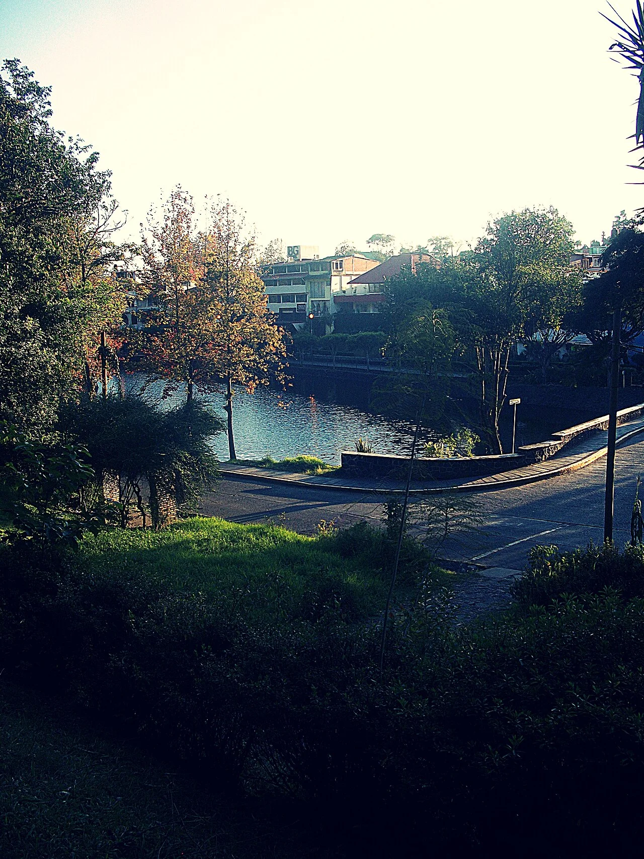 Photo of Lomas Verdes