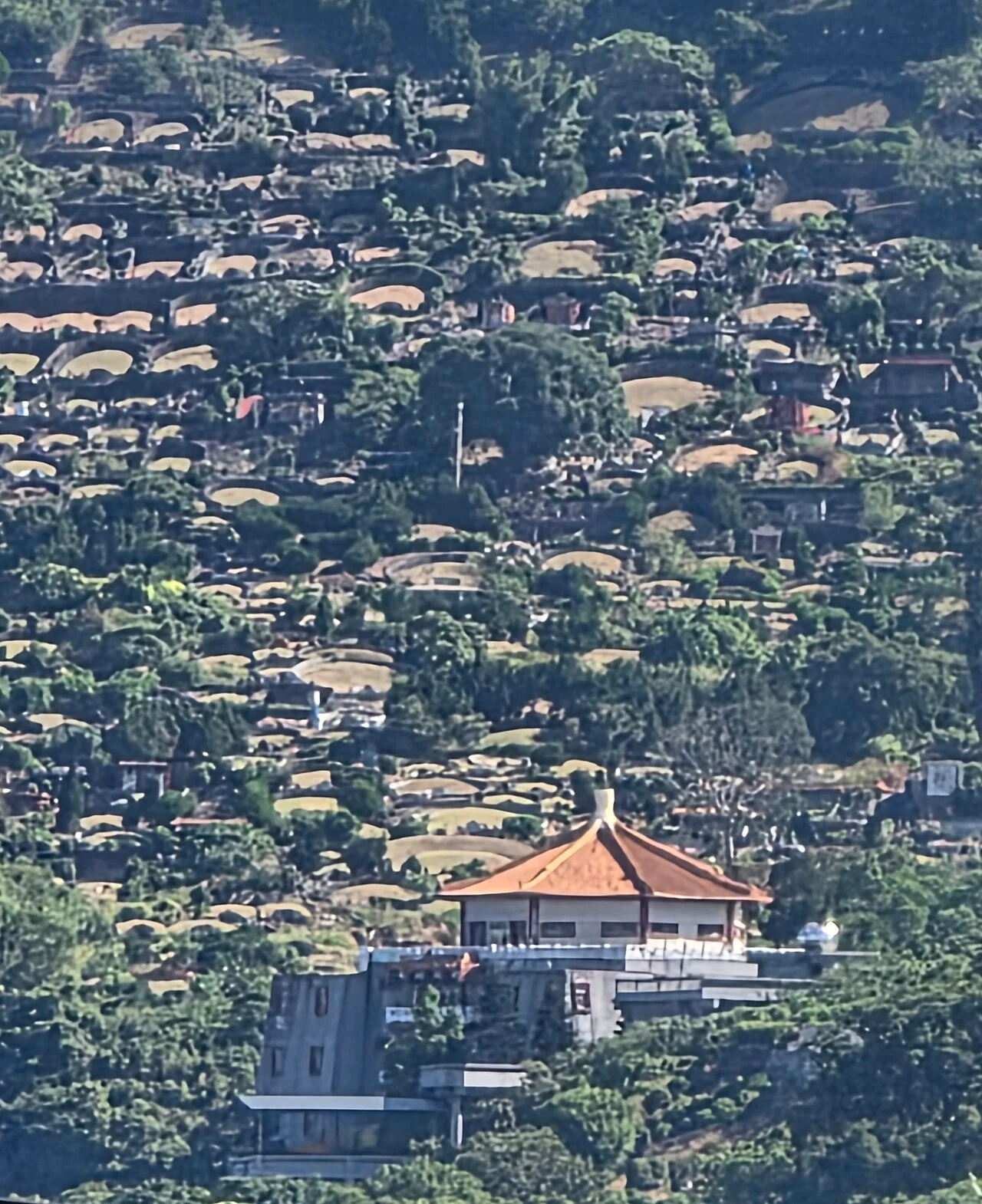 Photo of Longjin