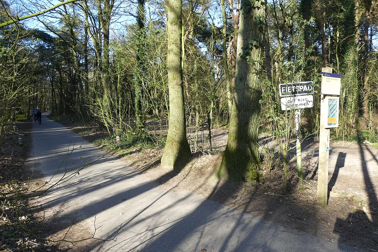 Photo of Loon op Zand