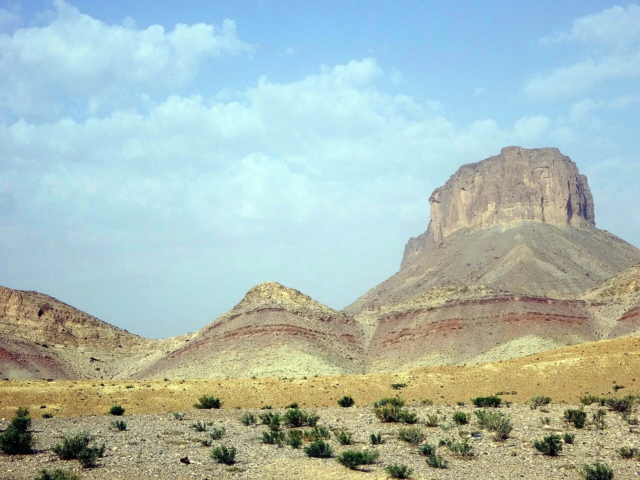 Photo of Loralai