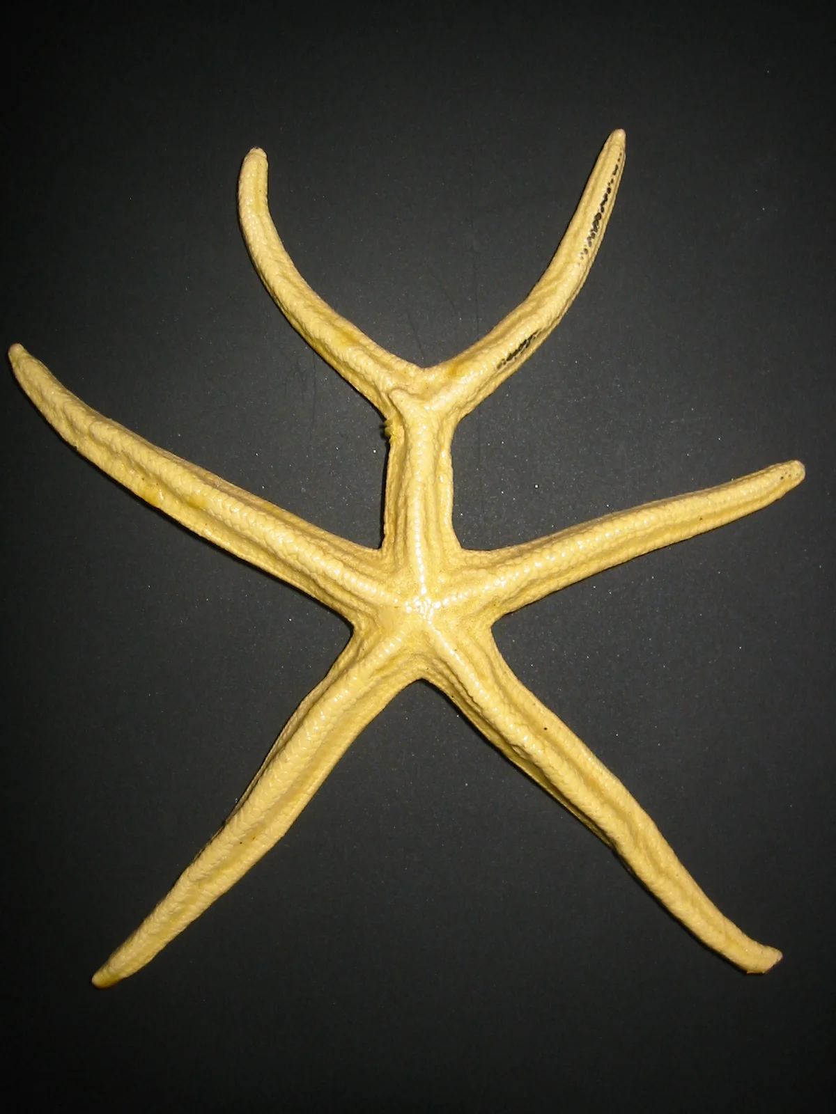 Photo of Los Barriles