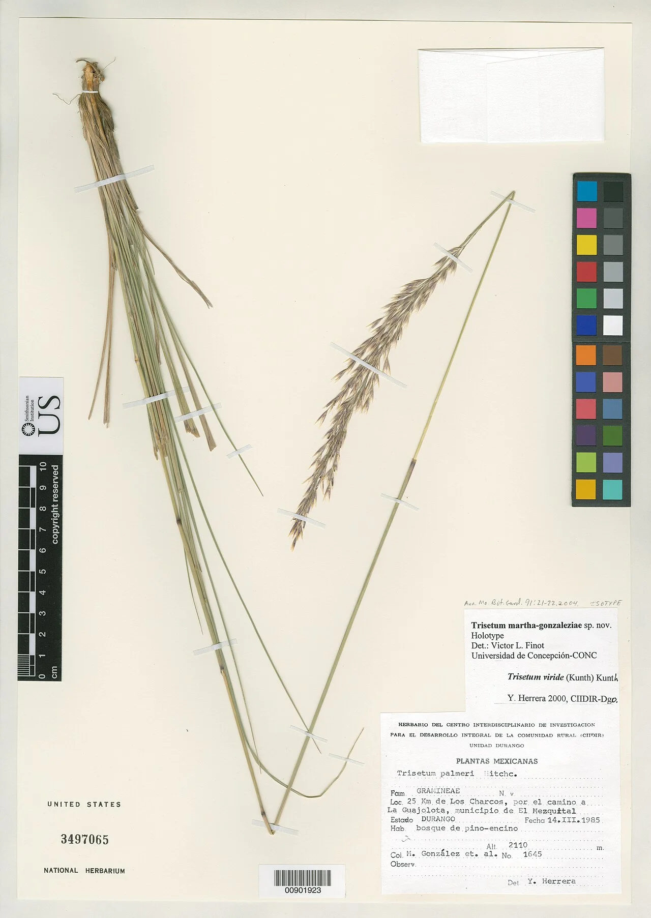 Photo of Los Charcos