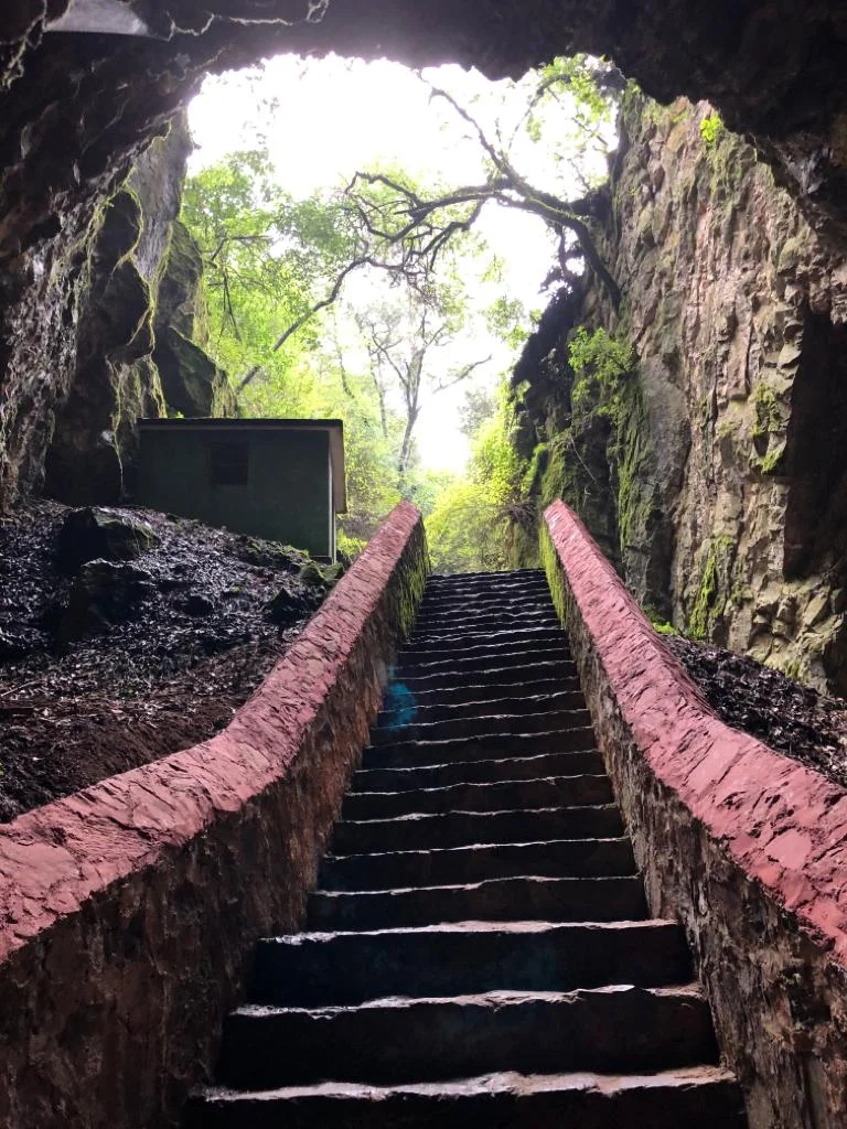 Photo of Los Herreras