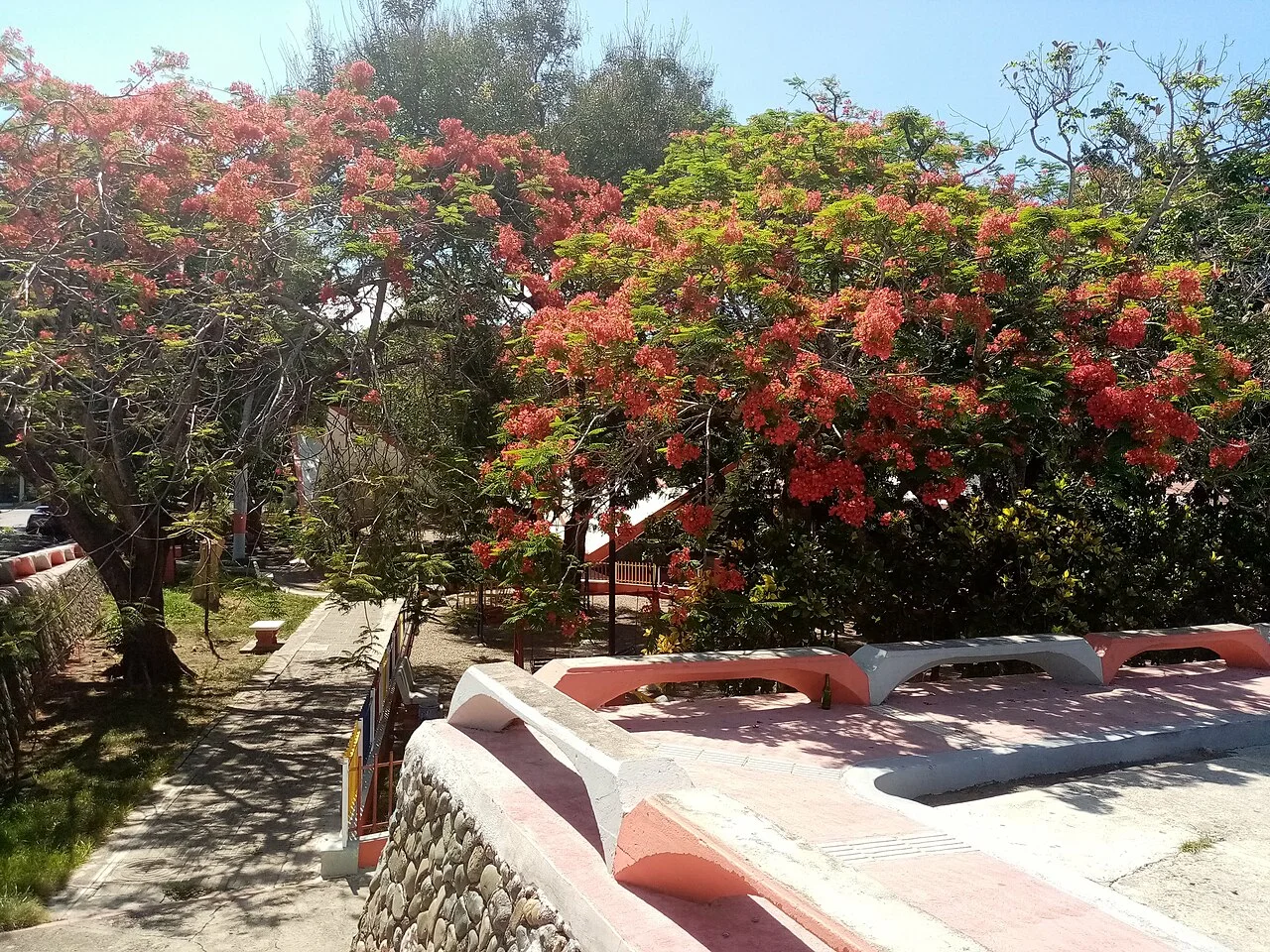 Photo of Los Hidalgos