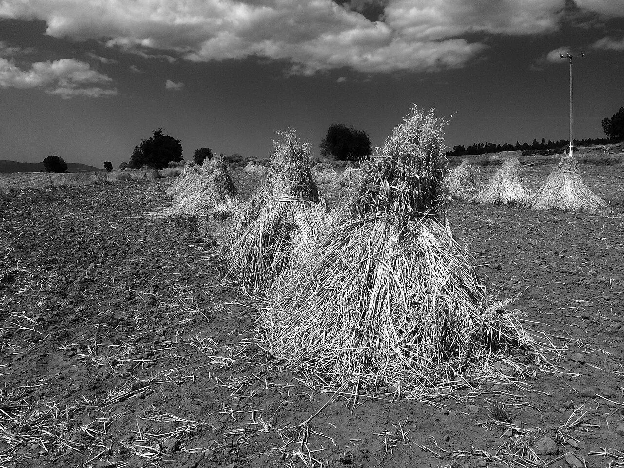 Photo of Los Mogotes