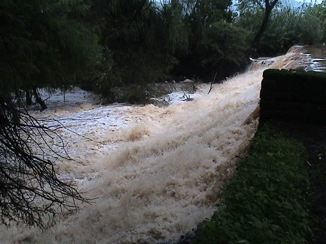 Photo of Los Sabinos